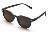 Morel round brown Sunglasses – Timeless & Sophisticated